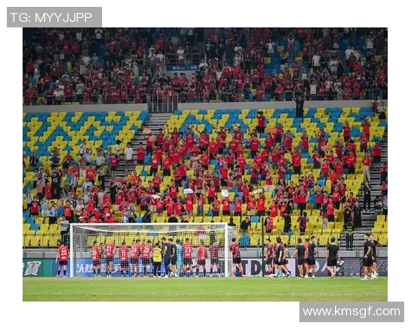 足球明星队图集高清展现球场风采与激情瞬间的完美结合