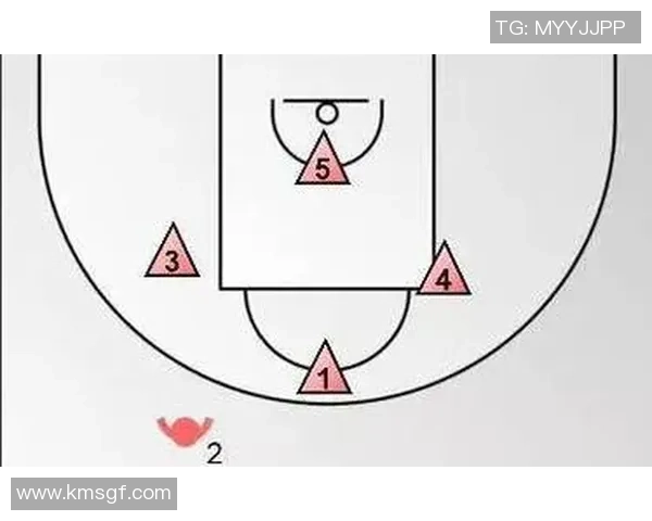 南京排球队的盯防战术解析与比赛表现分析